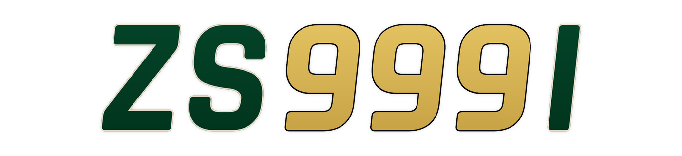 zs999i